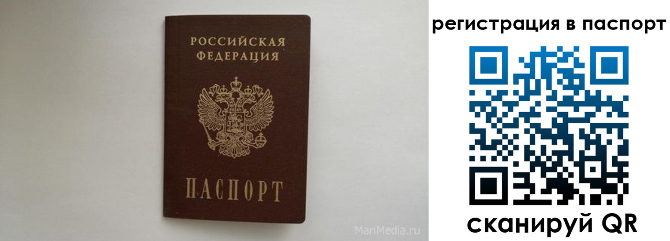 прописка в Губкинском